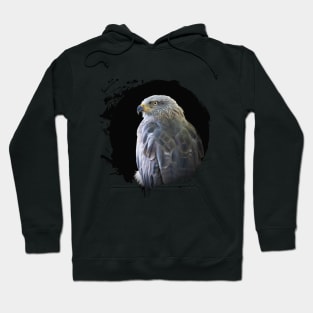 Kite Bird Animal Wildlife Forest Nature Free Flight Hoodie